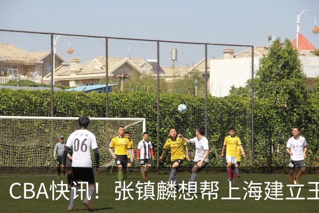 CBA快讯！张镇麟想帮上海建立王朝，新疆欲续约劳森，张庆鹏重返天津